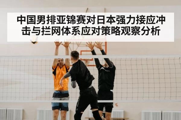 volleyball block net